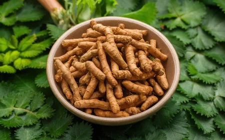 Sarsaparilla Root Benefits & Herbal Uses